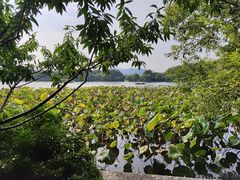 -楼外楼(西湖景区孤山路店)