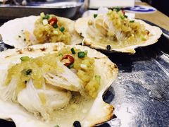 扇贝-老虎滩大连海鲜烧烤(建邺云锦路总店)