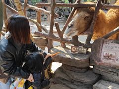 -长鹿旅游休博园