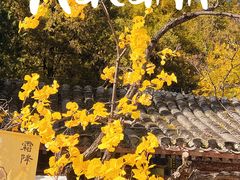 -潭柘寺景区