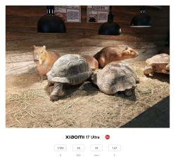 -Zoolung Zoolung动物主题公园(海信广场店)