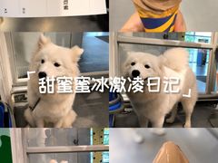 -宜家家居(高新商场店)