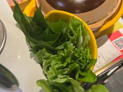 -润园四季椰子鸡火锅(南山海岸城店)