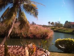 景点-三亚珠江南田温泉度假区