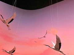 -中国湿地博物馆