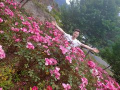 -镇坪县曙坪小学