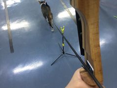 -蓝天射箭馆·专业射箭运动(诚丰广场店)