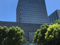 -BOP保镖隐形车衣NKD王者铠甲AX改色膜(徐汇授权店)