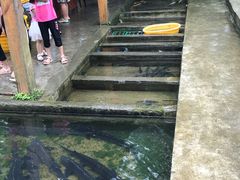 -源泉冷水鱼庄(小鱼洞店)