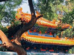 -北京国子监胡同