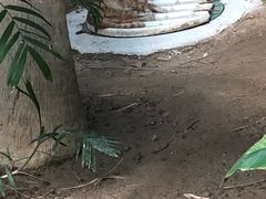 -龙达温泉生态城
