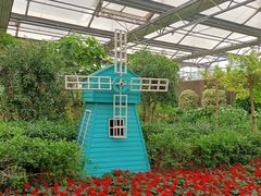 -南宫五洲植物乐园