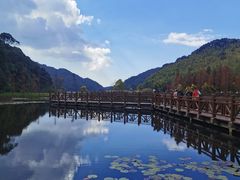 -广州市石门国家森林公园