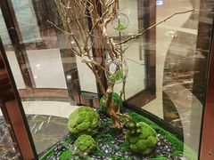 -杭州武林万怡酒店