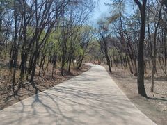 -沈阳市东陵公园