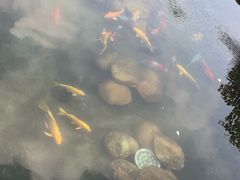 -韶关经律论国际酒店温泉