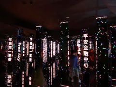 -平安金融中心云际观光层
