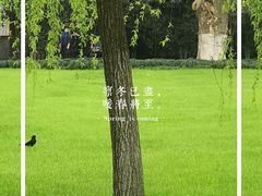 -柳浪闻莺公园
