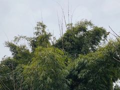 -三岔湖景区