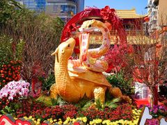 -越秀西湖花市(广州城市广场花卉店)
