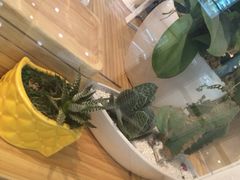 -E·cafe(新梅广场店)