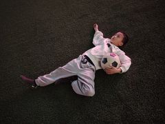 -陕西省小天鹅艺术团