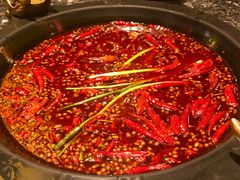 牛油红锅-蜀大侠火锅(寰球文化地标·总府店)