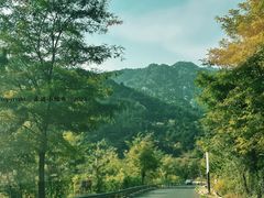 -沂蒙山旅游区云蒙景区(蒙山国家森林公园)