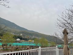 -WILDS 野有食(碧坞店)