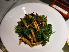 -三强鸽子(中原路店)