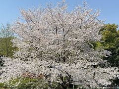 -IKEA宜家家居(南京商场)