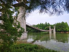 -东湖落雁景区