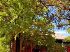 -红螺寺