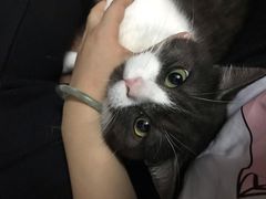 -周记茗点居(西村店)