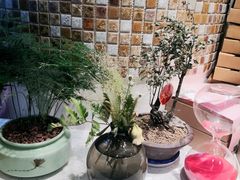 店内布置-九秋茶铺(三里屯店)