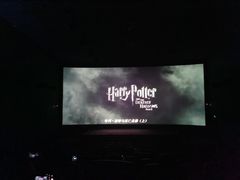 -武汉华夏国际影城(鲁广店)