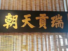 -灵龟之家百象馆(百象馆联合旗舰店)
