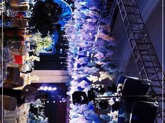 -白金汉爵大酒店-24小时餐厅