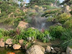 -罗红摄影艺术馆