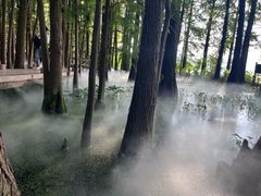 -东湖落雁景区