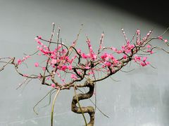 -成都杜甫草堂博物馆