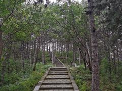 -京东石林峡风景区