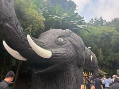 -野象谷景区