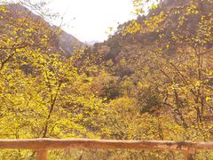 -北京上方山国家森林公园