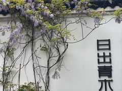 -日出青木