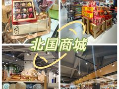 -北国商城