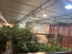 -滕头生态酒店(奉化店)
