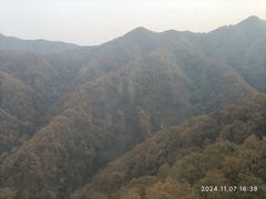 -栾川竹海野生动物园