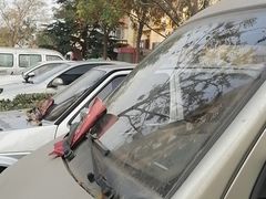 -九龙餐厅(大沽路店)