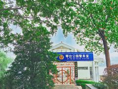 -月湖风景区